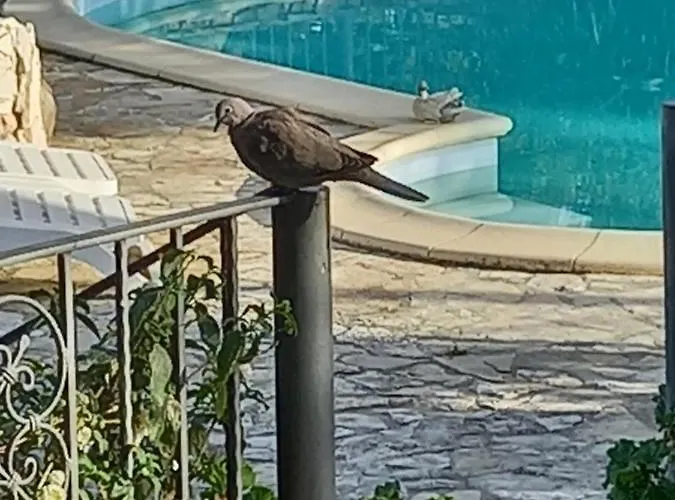 Adriana - - Mini - Cagliari Villasimus Sardegna Apartman *